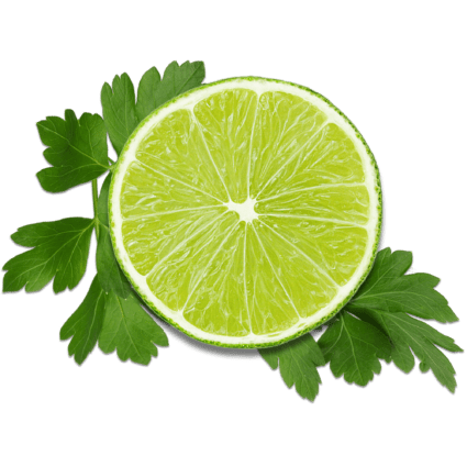 Cilantro Lime Flair