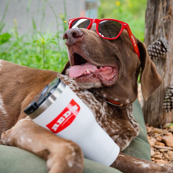 Red's Tumbler Sunglasses Dog Lifestyle